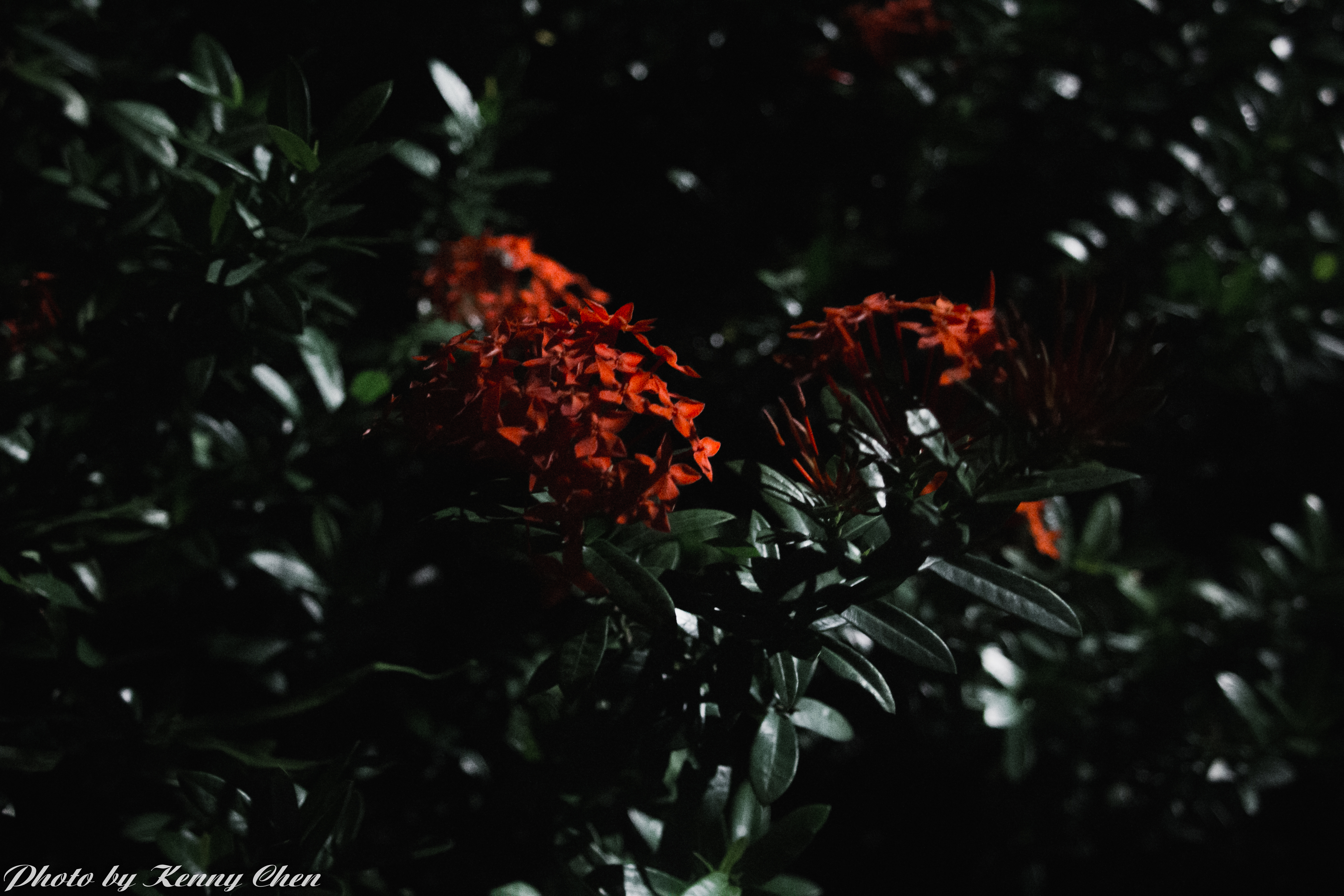 臺大夜拍初體驗