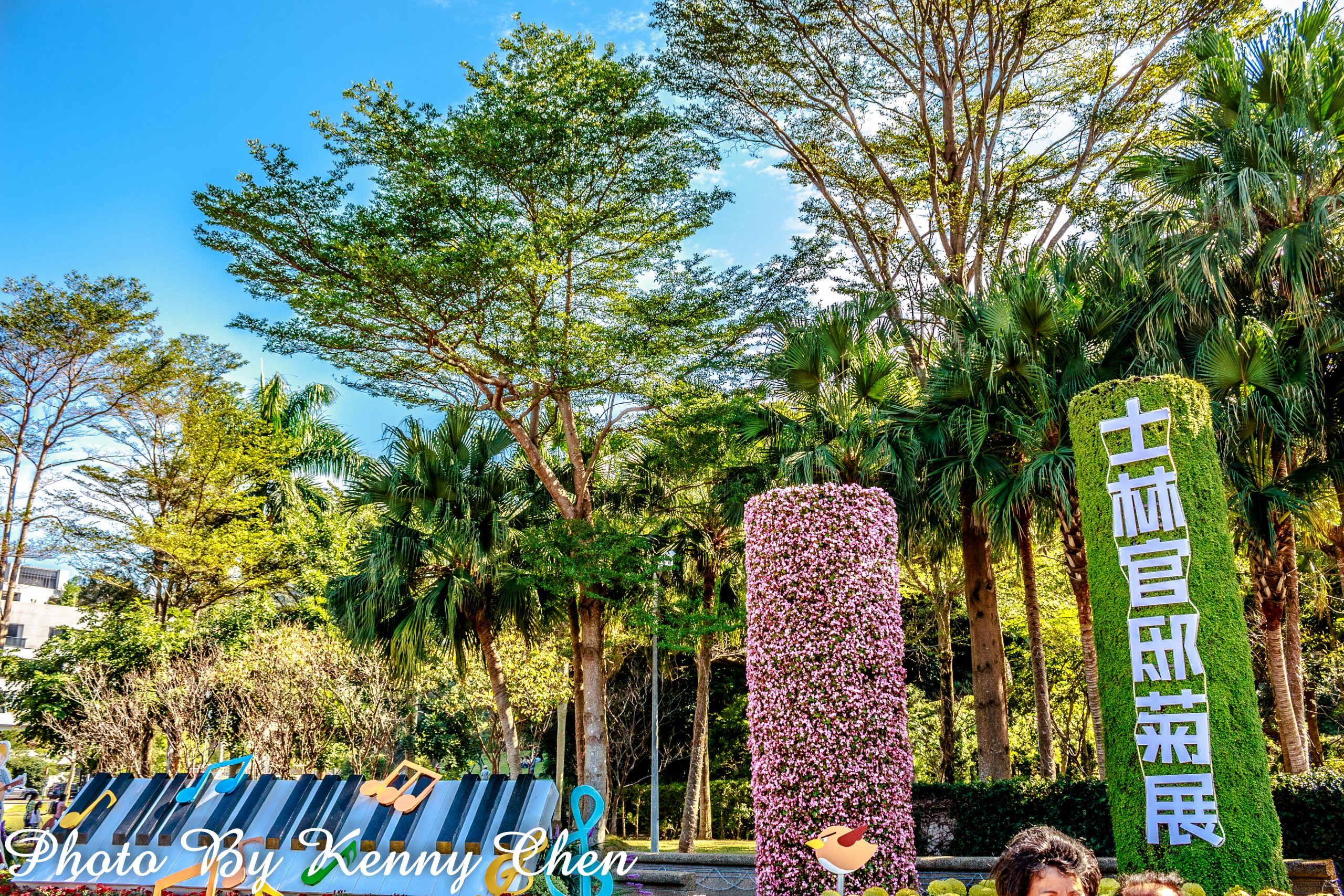 2019年士林官邸菊花展